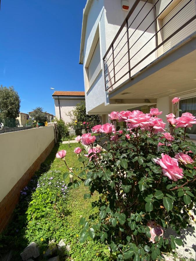 Casa Summer Cecina  Exterior photo