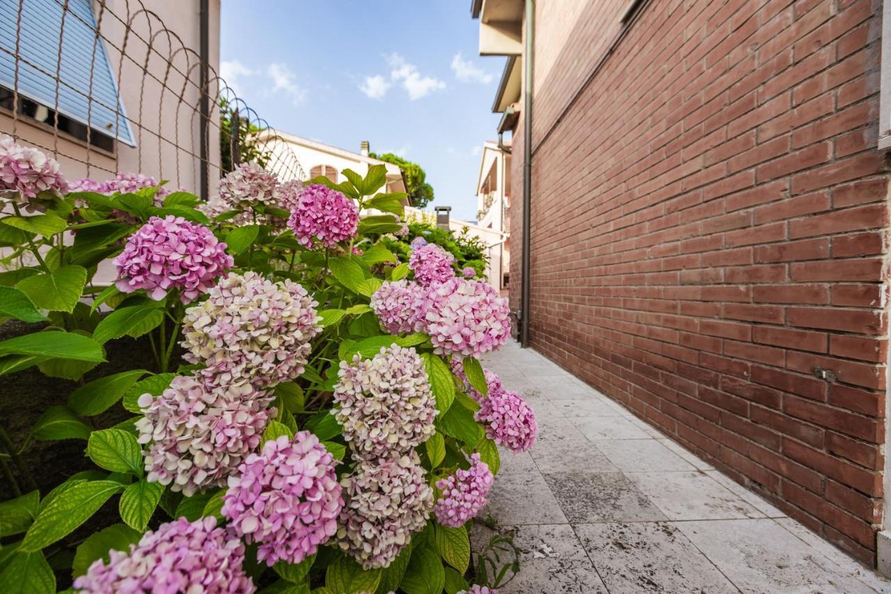 Casa Summer Cecina  Exterior photo